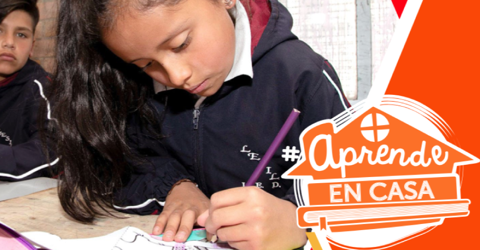 Imagen Orientaciones para el acompañamiento virtual de orientadoras y orientadores