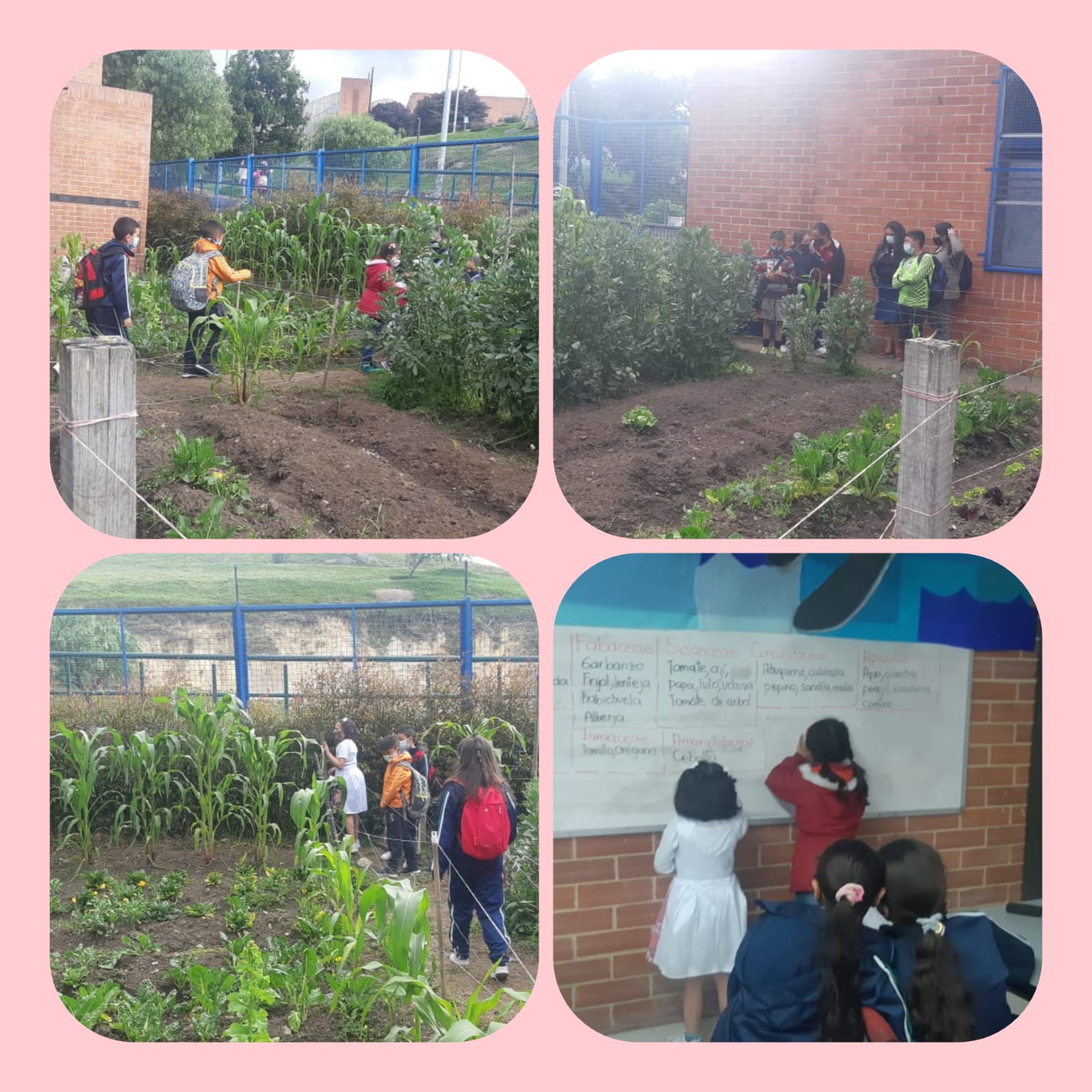 Imagen "Laudato Si, yo digo sí al cuidado del medio ambiente”