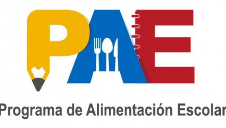 Imagen INFORMACIÓN BONOS PAE