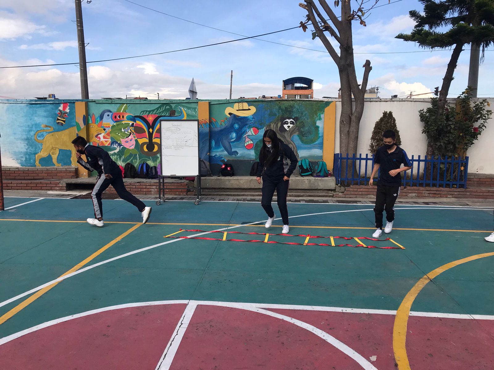 Imagen IED Bosanova SEDE A - Bachillerato Jornada Tarde - Guía única del cuarto periodo año 2021