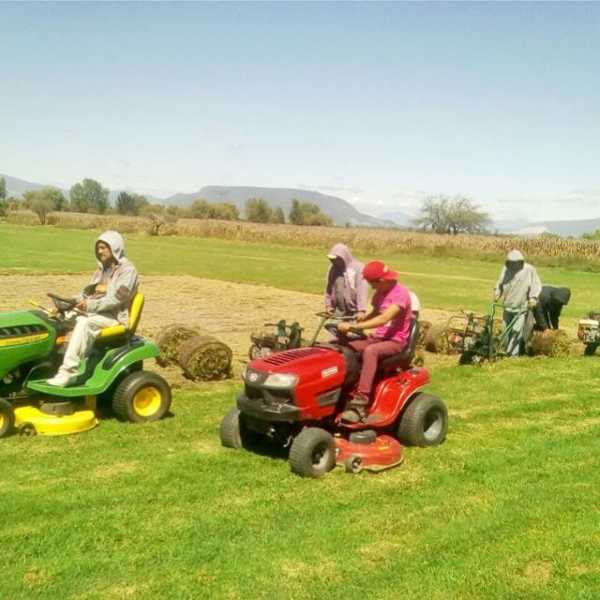 Mantenimiento de la Institución