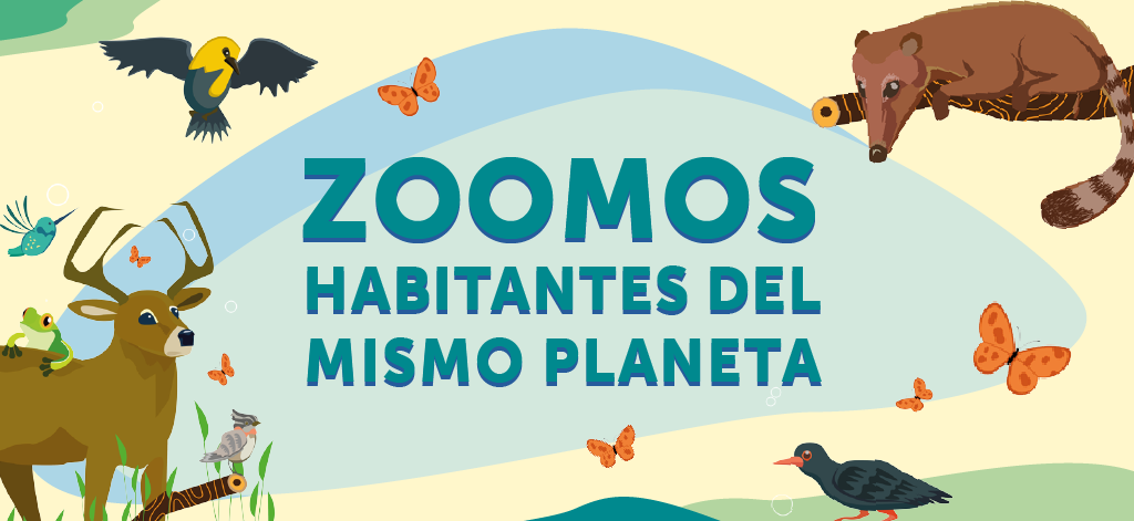 Zoomos habitantes del mismo planeta