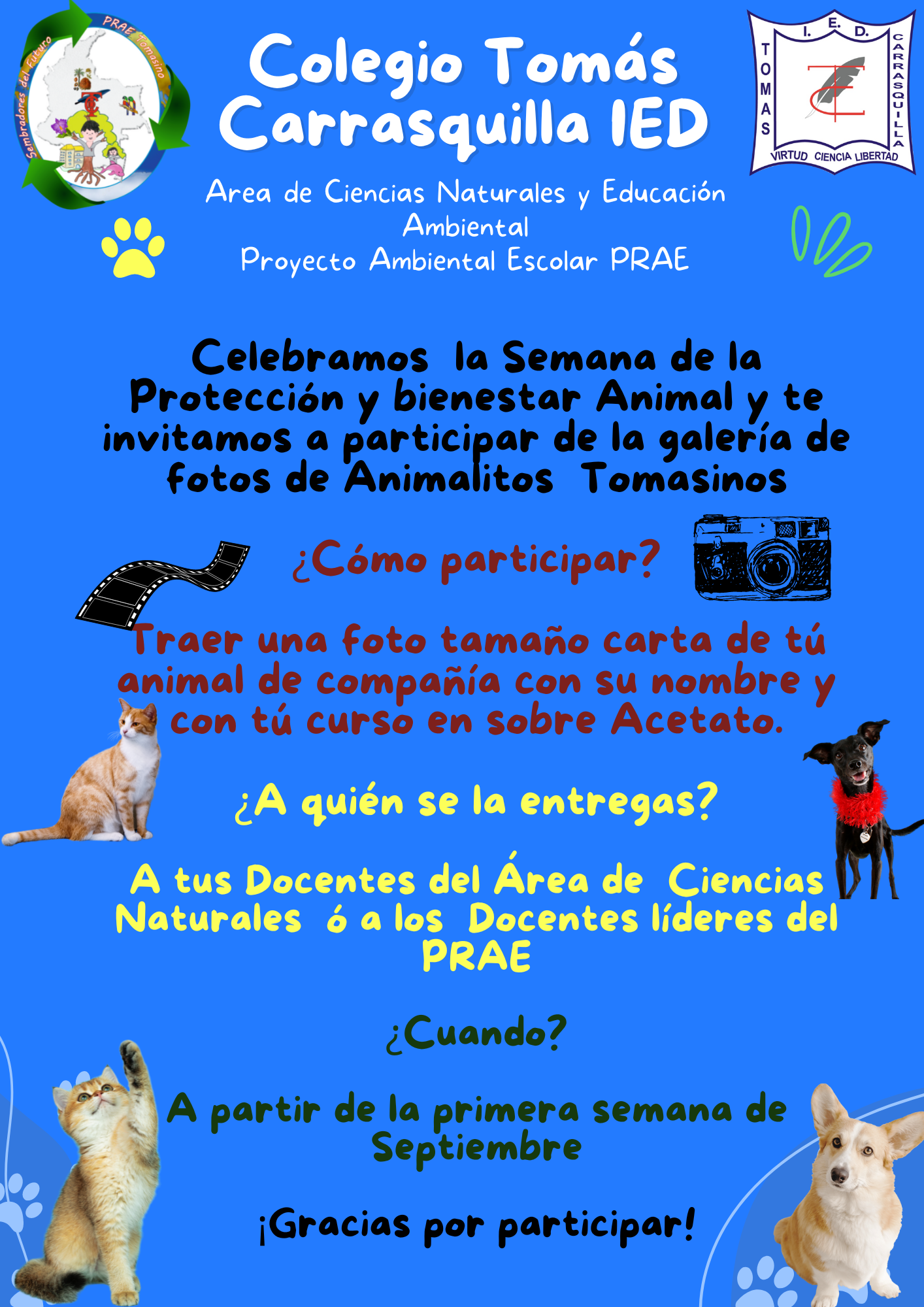 Semana de la Protección y Bienestar Animal