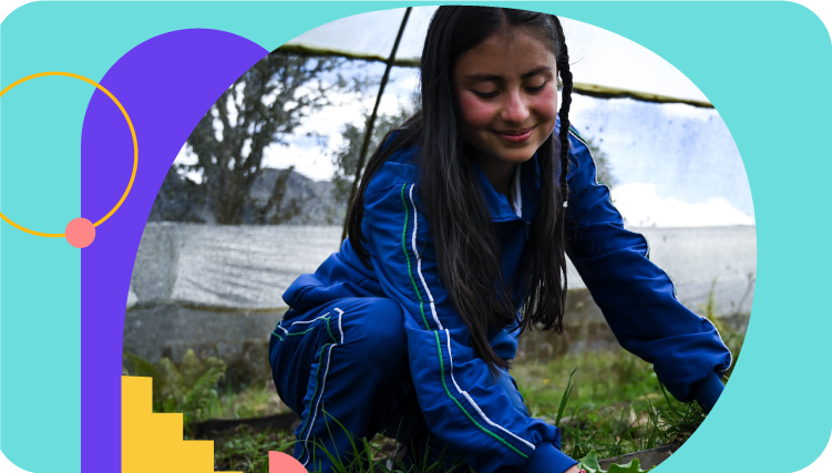 Imagen de decoración del toolkit 1