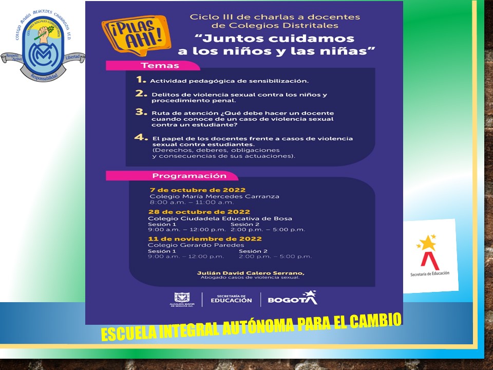 CHARLA A DOCENTES COLEGIOS DISTRITALES