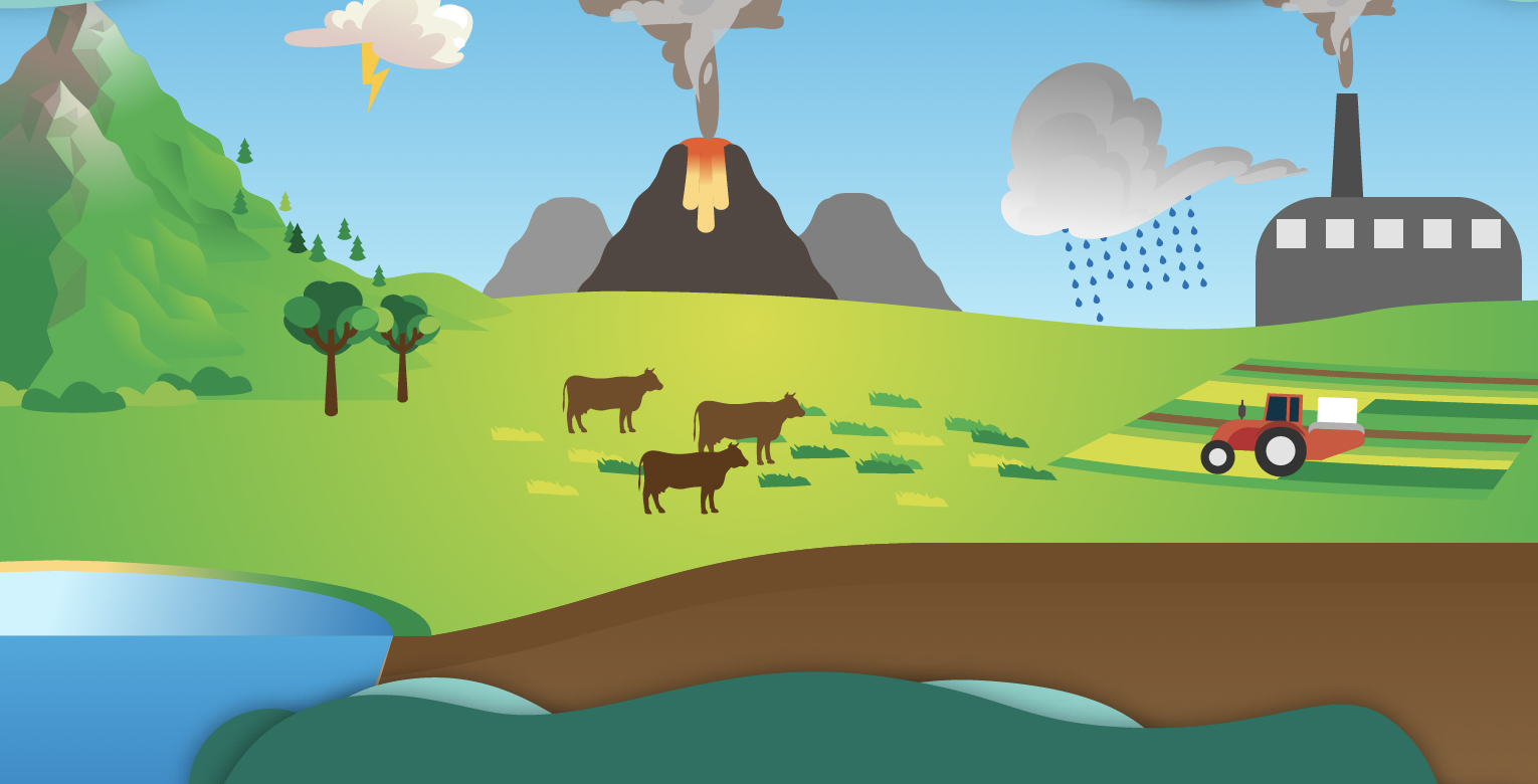 Comparo y practico las leyes de Mendel