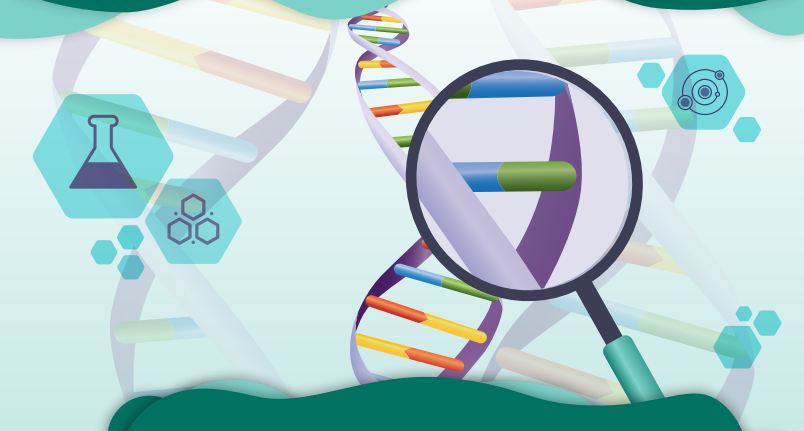 Cuento y analizo la estructura del ADN por medio de un modelo 3D