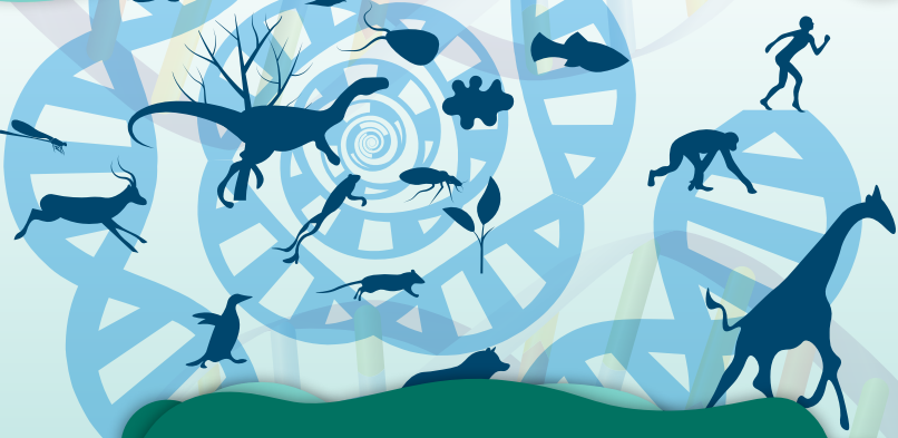 El ADN y su relación con la biodiversidad