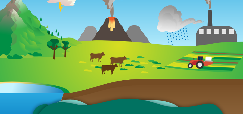 Comparo y practico las leyes de Mendel