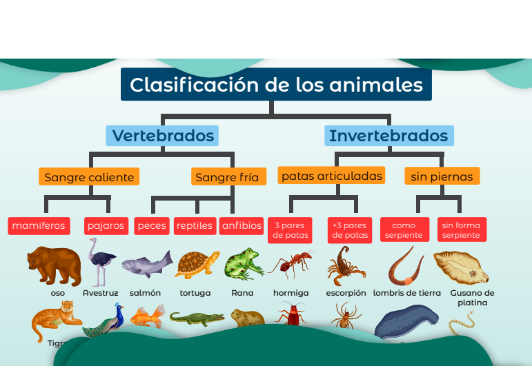 Cuento y analizo la clasificación del reino animal