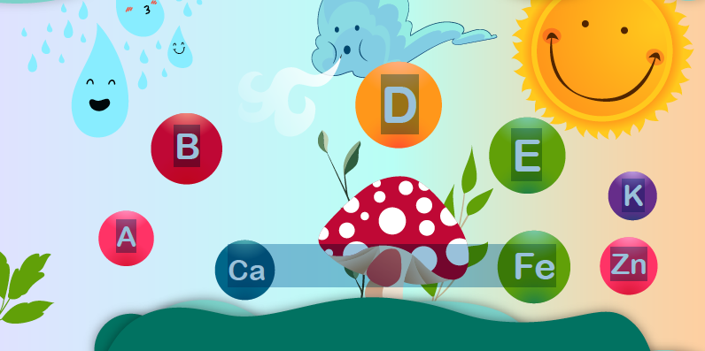 Comparo acerca de la importancia de los seres no vivos en el desarrollo de la vida
