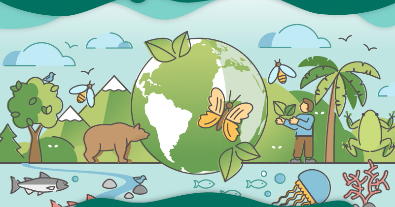 La biodiversidad de mi entorno