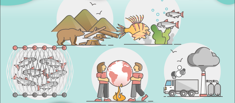 La importancia de la biodiversidad y las consecuencias de su pérdida