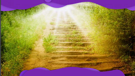 La vida y el ser humano