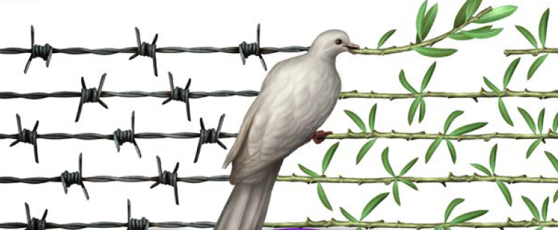 La cátedra de paz enmarcada en los conflictos religiosos