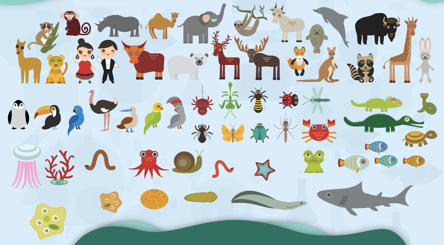 Los reinos de la naturaleza