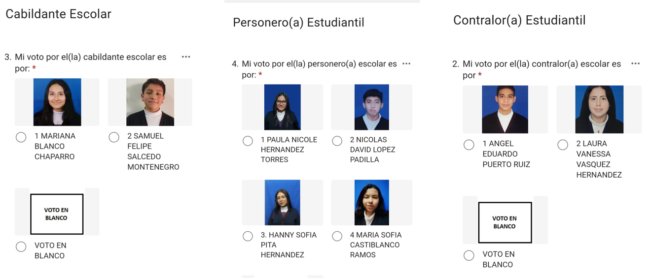 Elecciones gobierno escolar