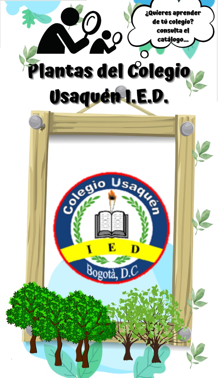 Plantas del colegio Usaquén 