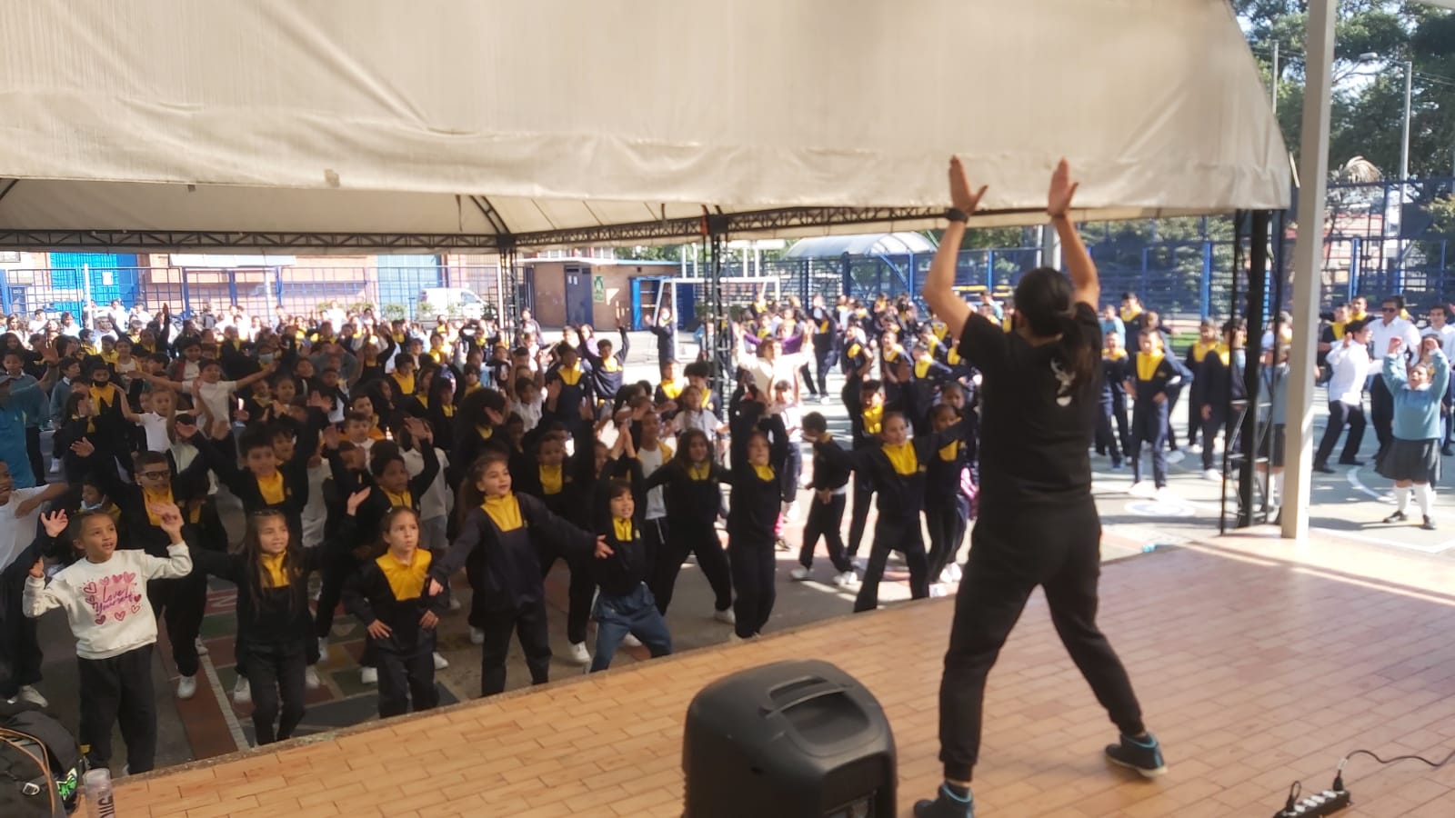 DIA DE LA ACTIVIDAD FÍSICA