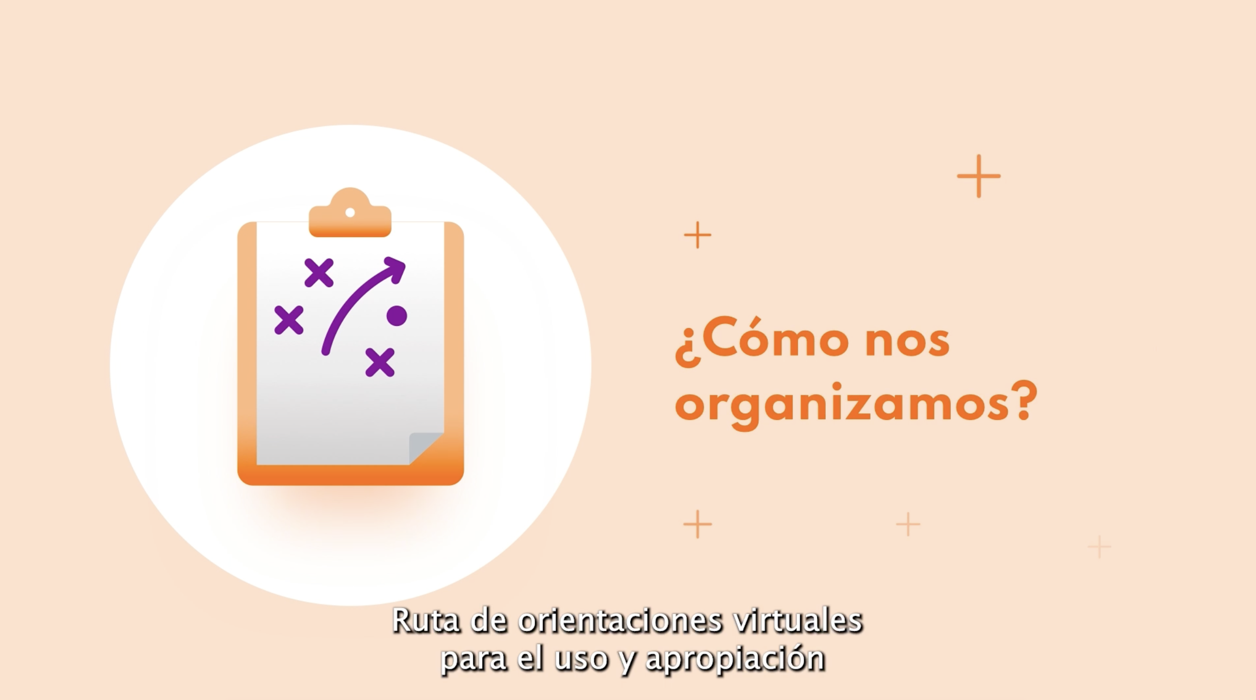 ¿Cómo nos organizamos?