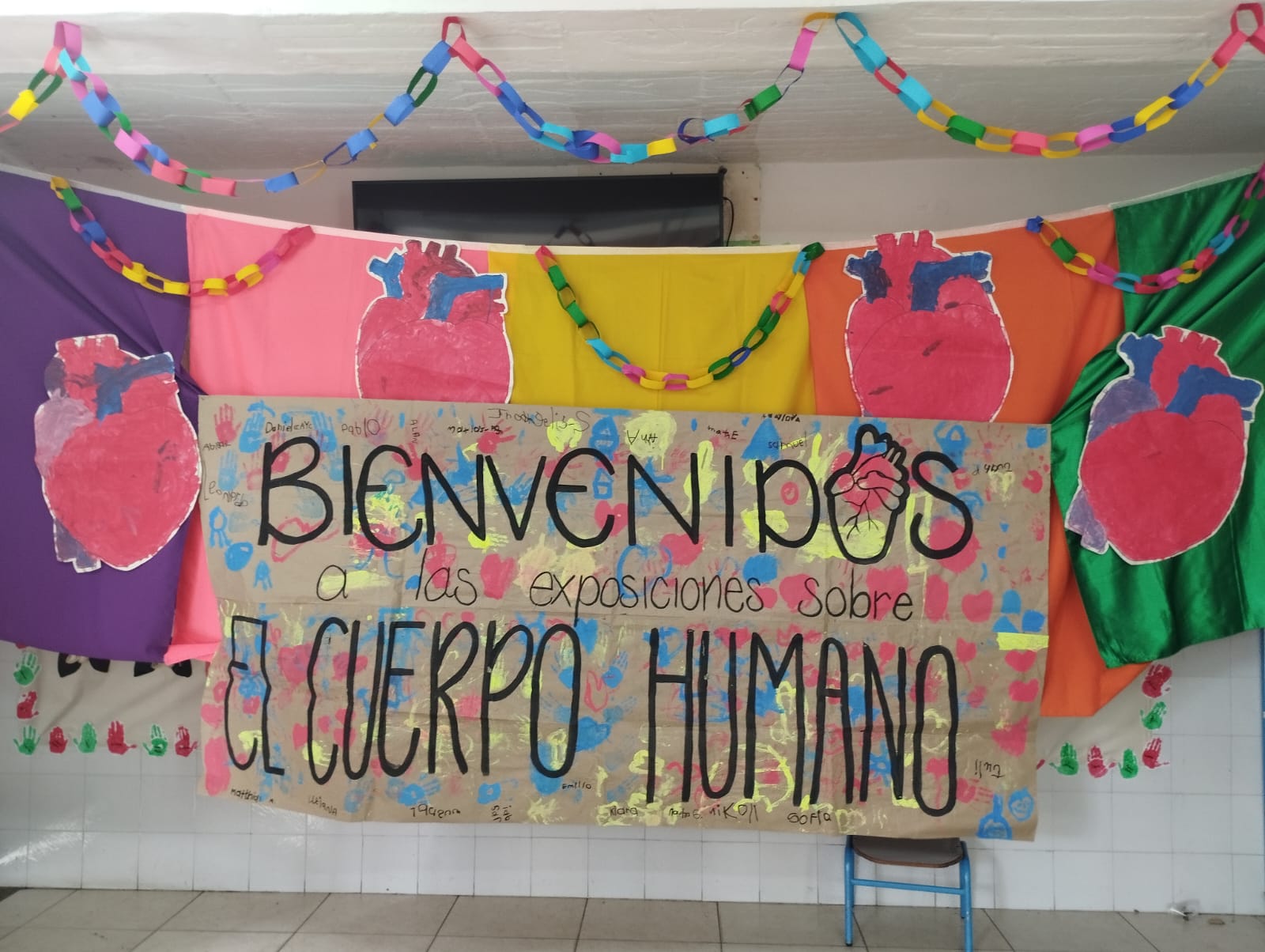 Cuerpo humano Transición 01