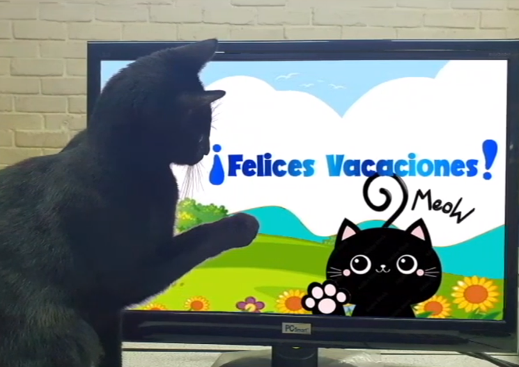 Felices vacaciones