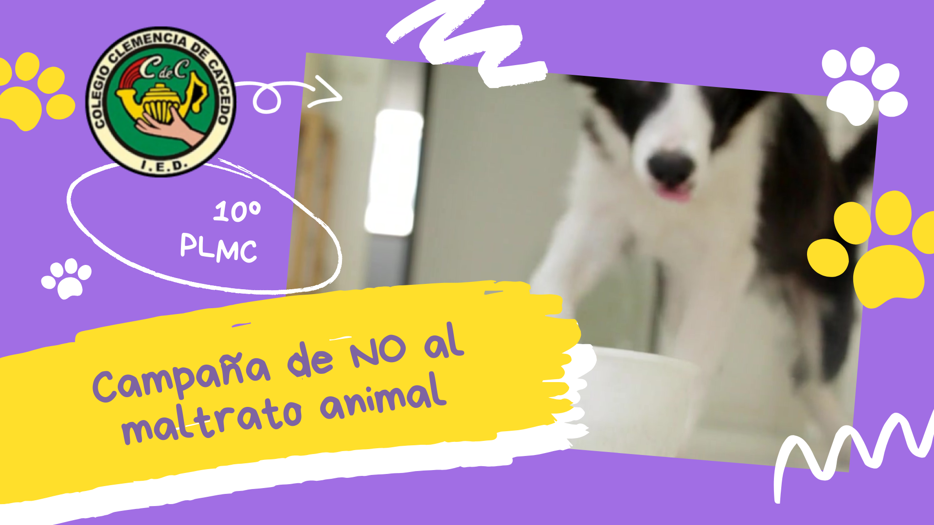 Campaña de NO al maltrato animal