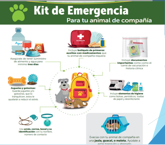 Colegio Luis Vargas Tejada