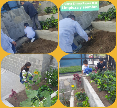 Plantación de semillas