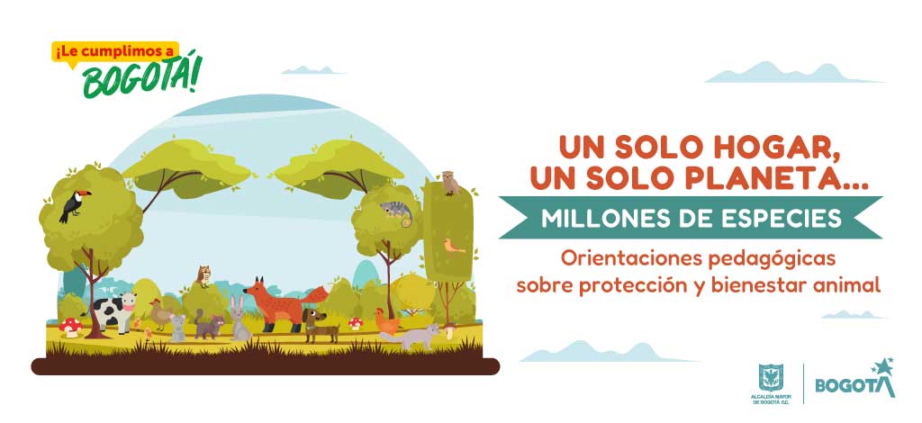 Descargar orientaciones