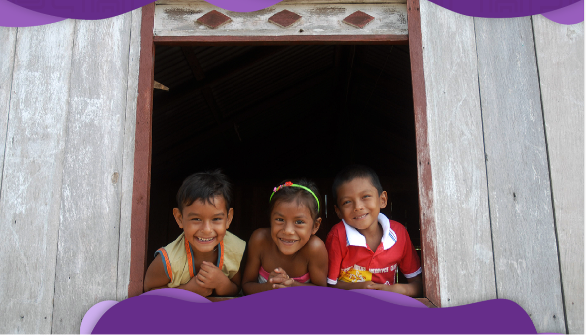 Acerca de la región Amazónica