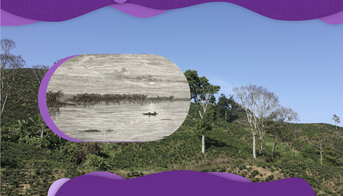 Acerca de las regiones Andina y Orinoquía