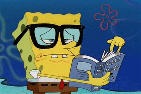 Bob Esponja con gafas lee un libro
