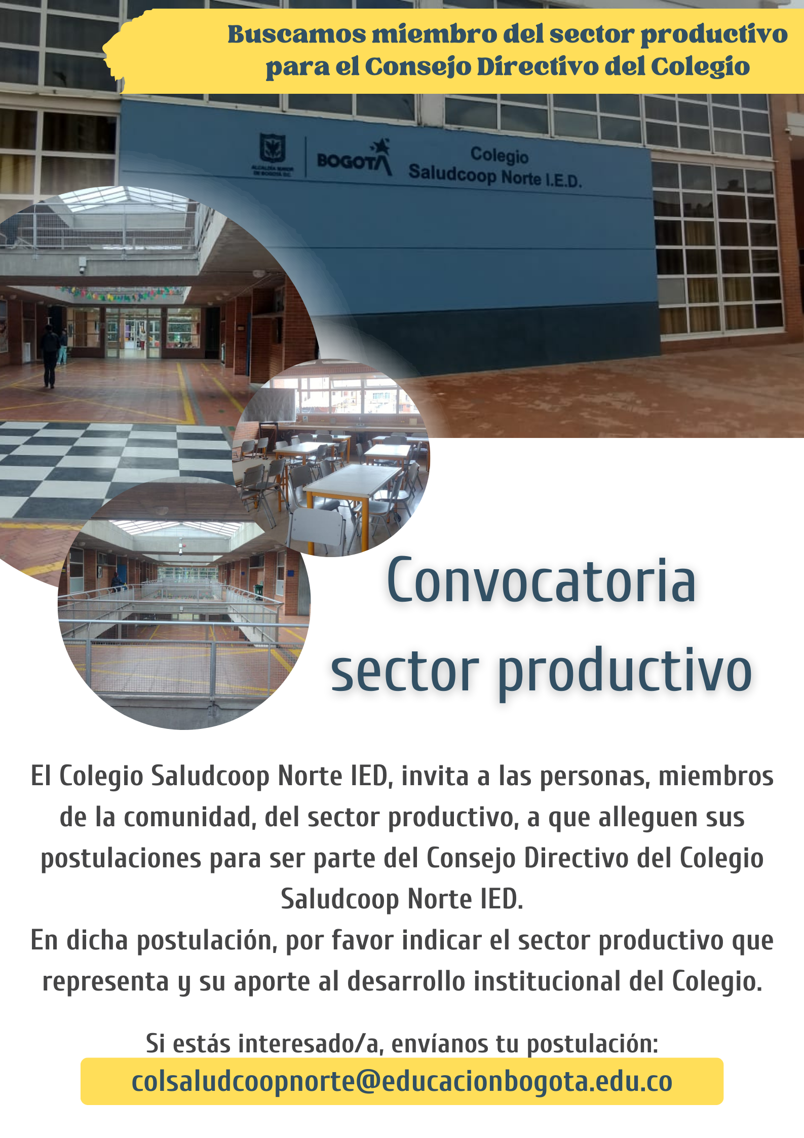 Postulacones sector productivo, para ser parte del CONSEJO DIRECTIVO del colegio.