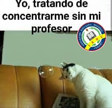 🧪🧪Bueno, nos toca trabajar en la casa, pero no se preocupen, que los profesores no van a estar ahí para molestarnos.📖📖 Consulta tu trabajo para cuando no vengas al colegio JORNADA MAÑANA 