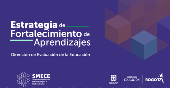 Fortalecimiento de Aprendizajes año 2024