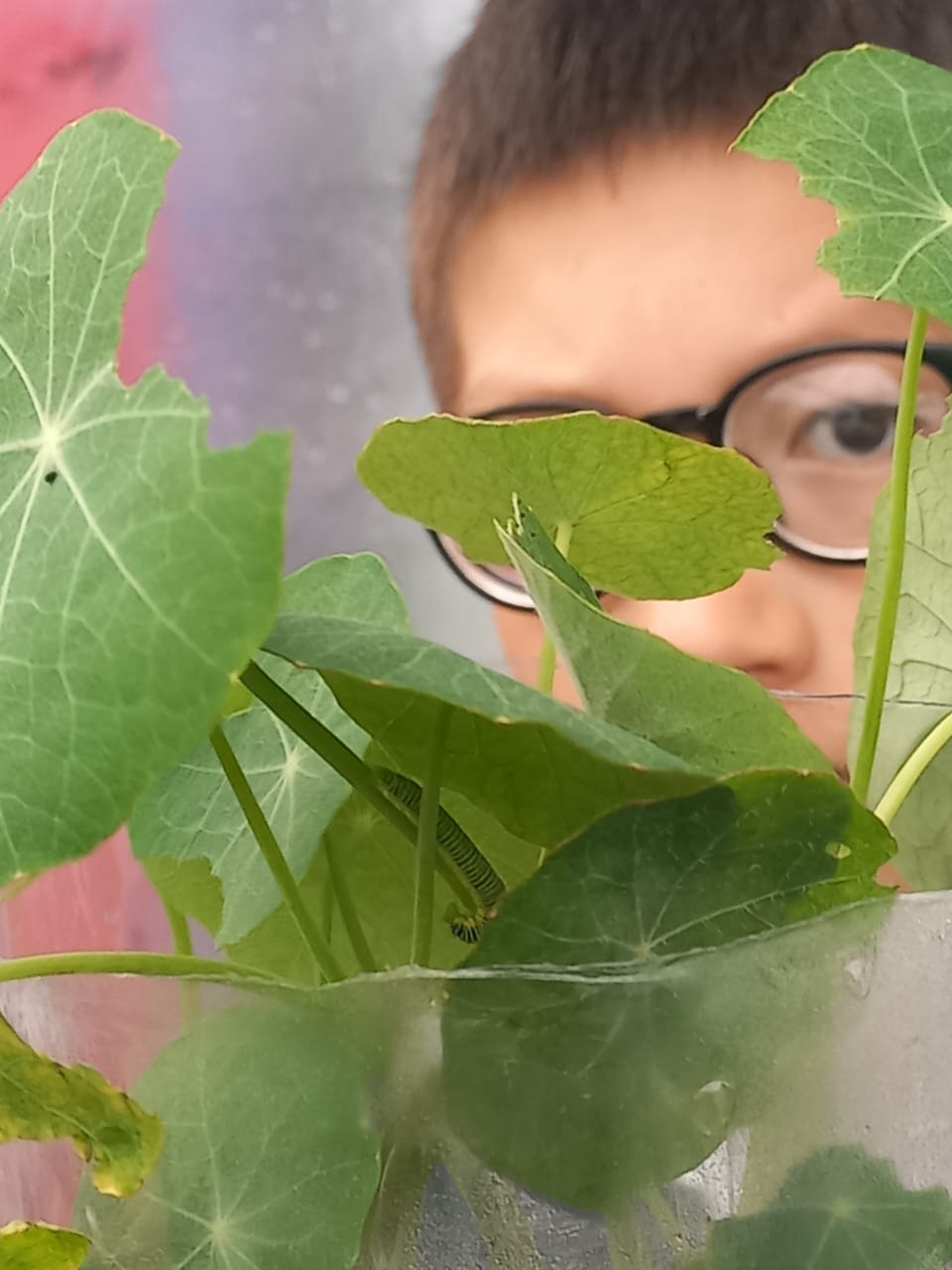 Proyecto: Tejiendo saberes en armonía con la naturaleza.