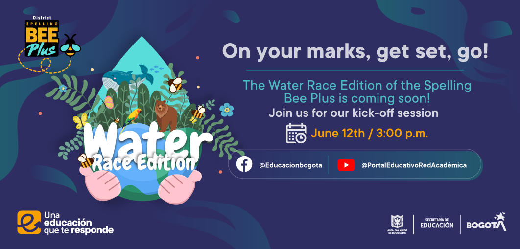 Lanzamiento / Spelling Bee Plus