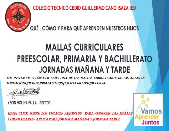 MALLAS CURRICULARES  JORNADAS MAÑANA Y TARDE