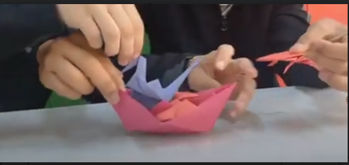 Un Viaje Por La Diversidad