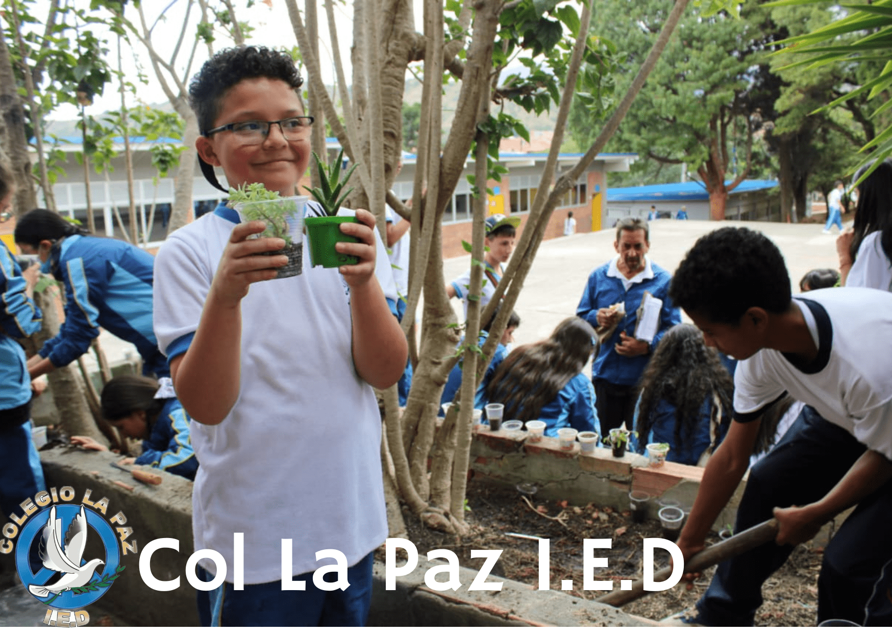 DIA DE LA PROTECCION DE LA VIDA SILVESTRE Y LA VIDA VEGETAL.