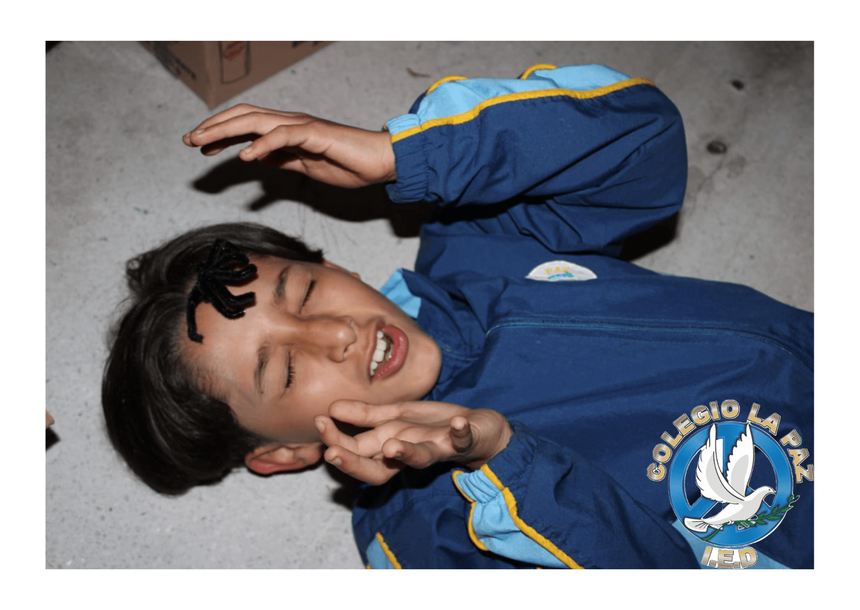 Foro educativo institucional 2024 "Un paseo por las emociones"