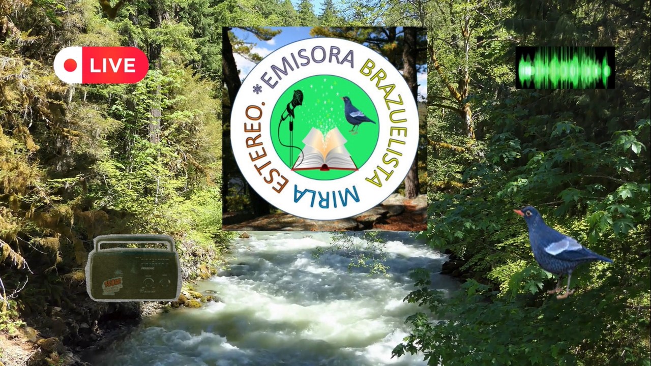 Las Aventuras de Mirla