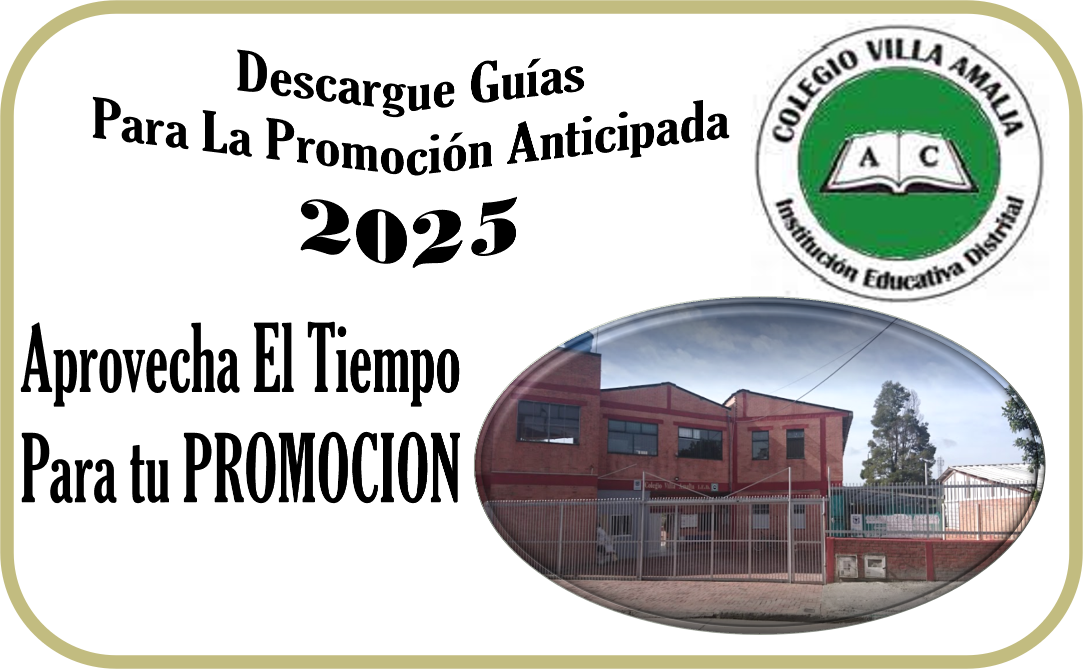 Guías para la Promoción Anticipada 2025