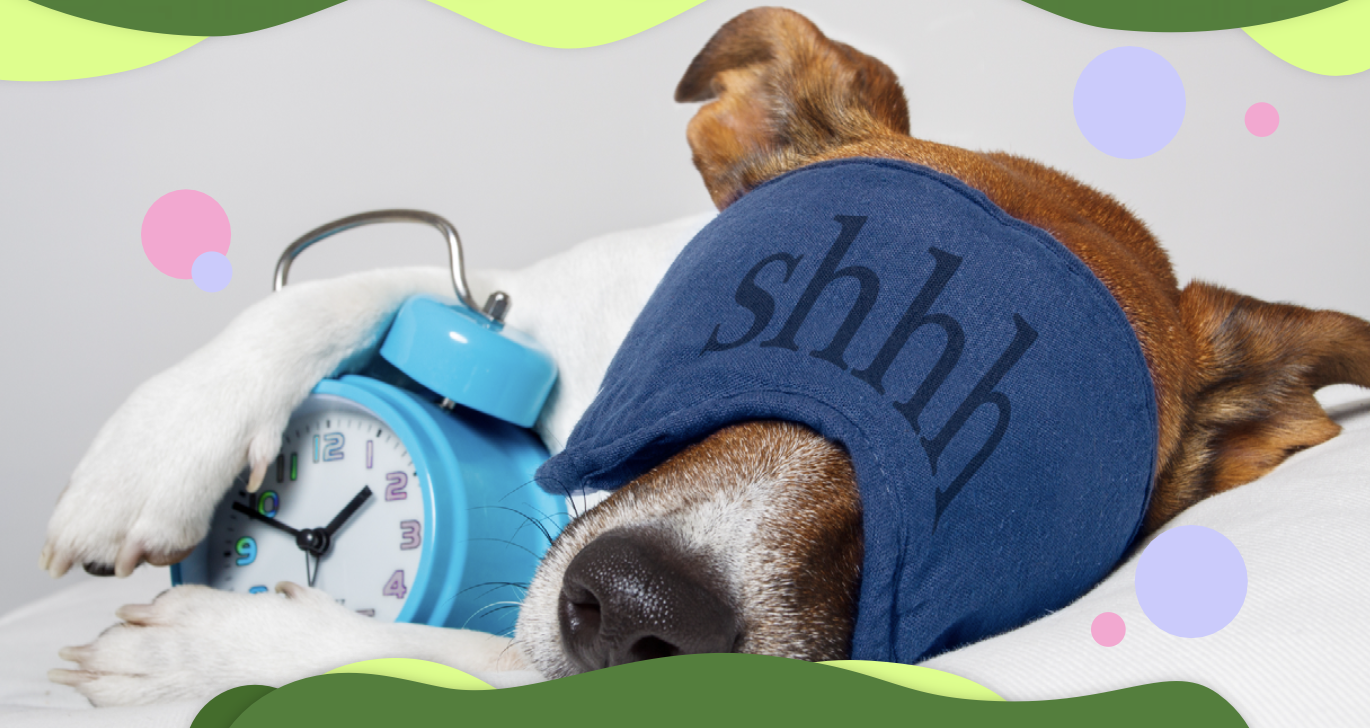 Todos los seres vivos necesitamos dormir y/o descansar