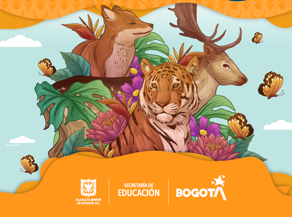 Investigo los animales de la jungla en inglés