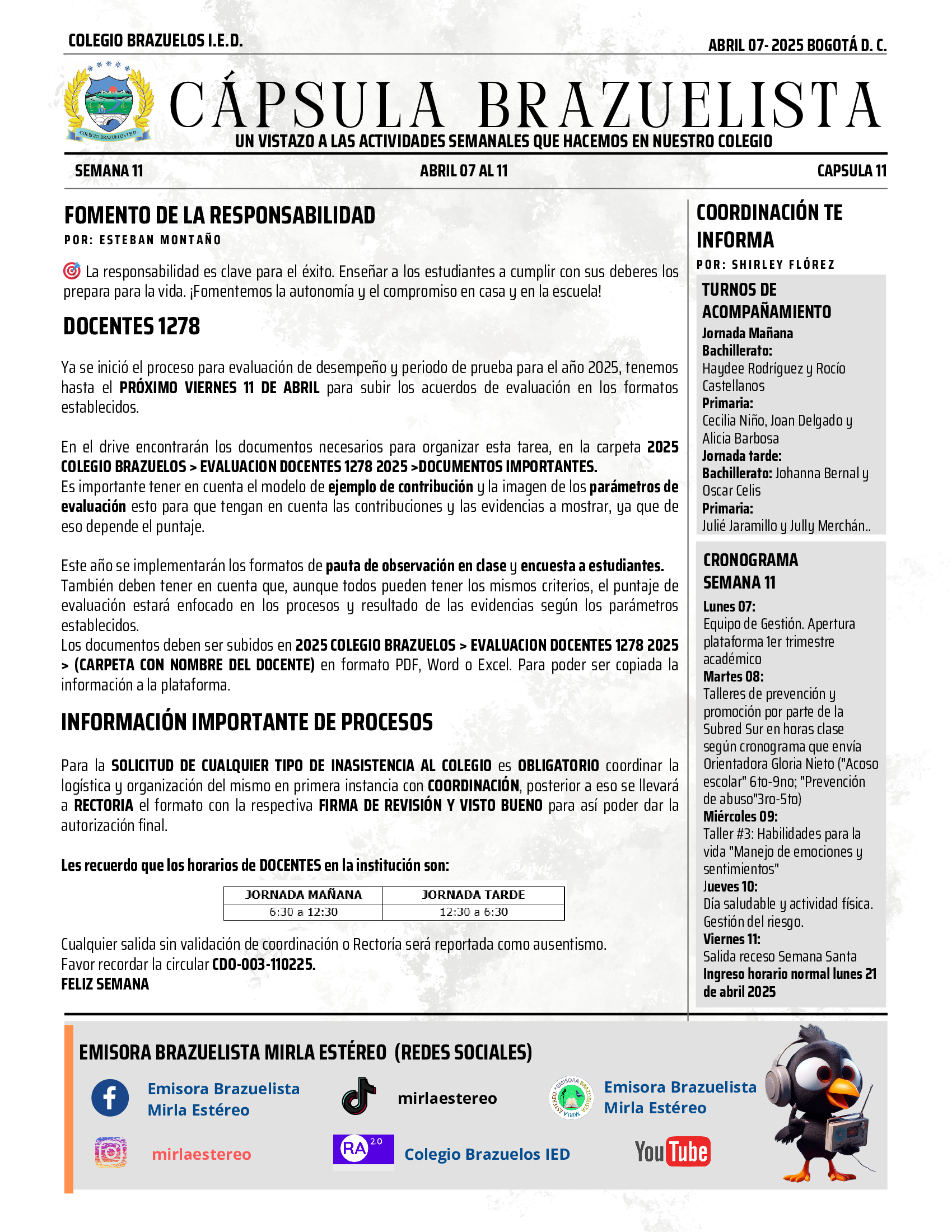 CAPSULA BRAZUELISTA 11