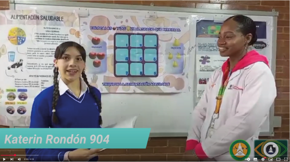 Proyecto AI-PARA-VER