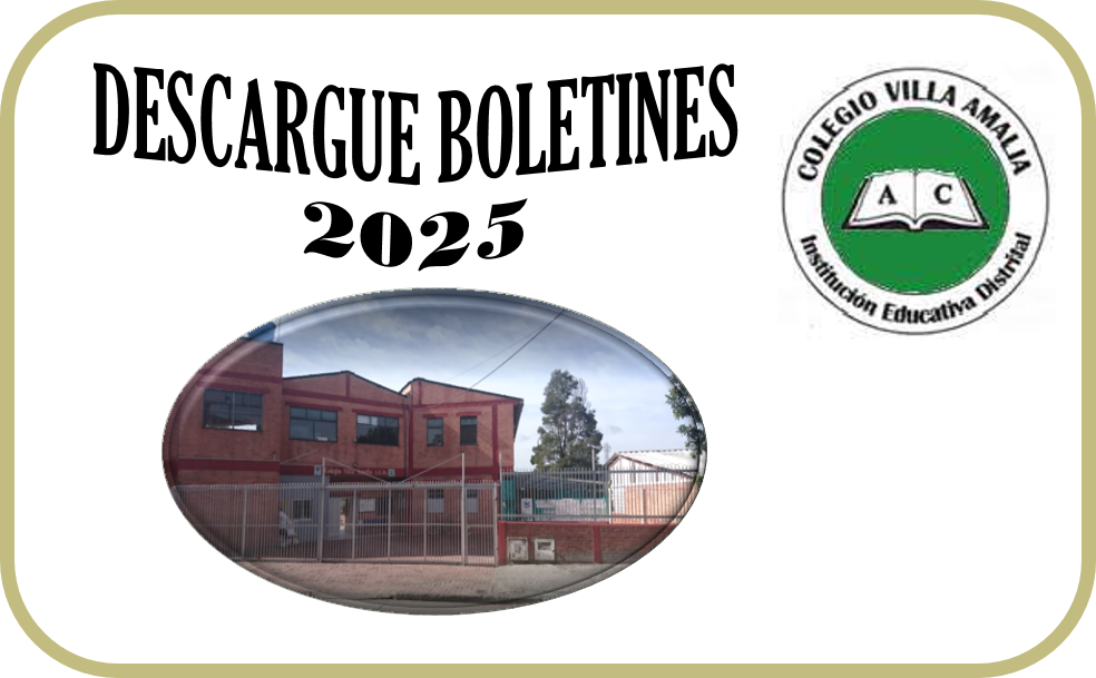 Descargar Boletines 2025
