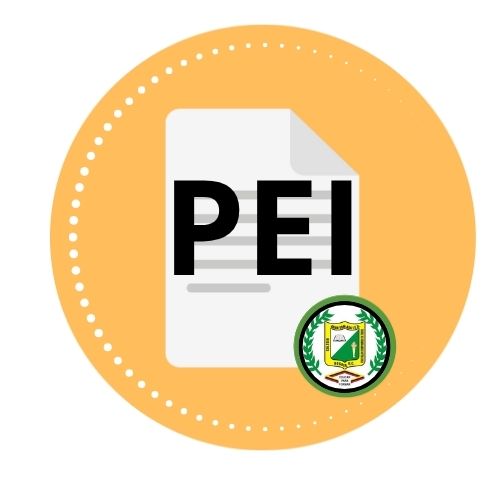 PEI-Proyecto educativo institucional